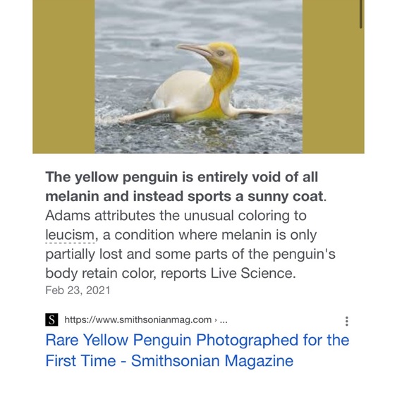 🐿# 2 Like NEW FOLLOW GAME-listing #3 🐿 - Picture 11 of 16